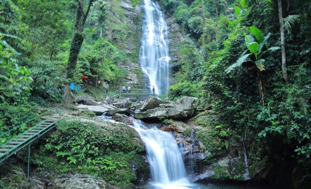 Hệ sinh thái, đa dạng sinh học của Pù Mát rất quý giá. Ảnh: Việt Khánh.