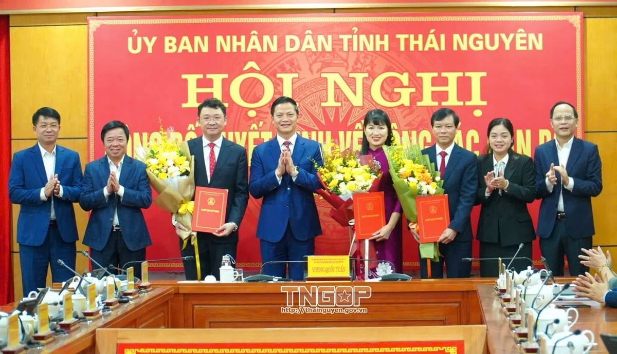 Lãnh đạo UBND tỉnh Thái Nguyên chúc mừng các cán bộ được bổ nhiệm. Ảnh: TNGOP.