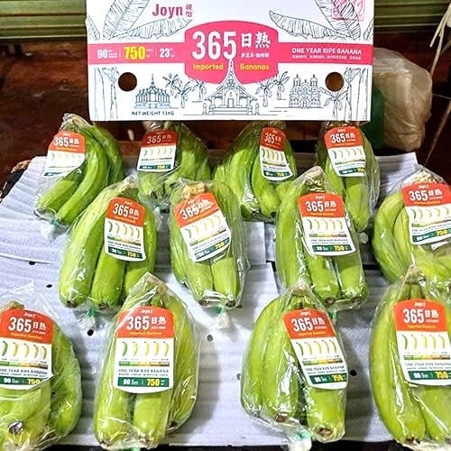 Sản phẩm chuối xuất khẩu của Hoàng Anh Gia Lai. Ảnh: HAGL. 