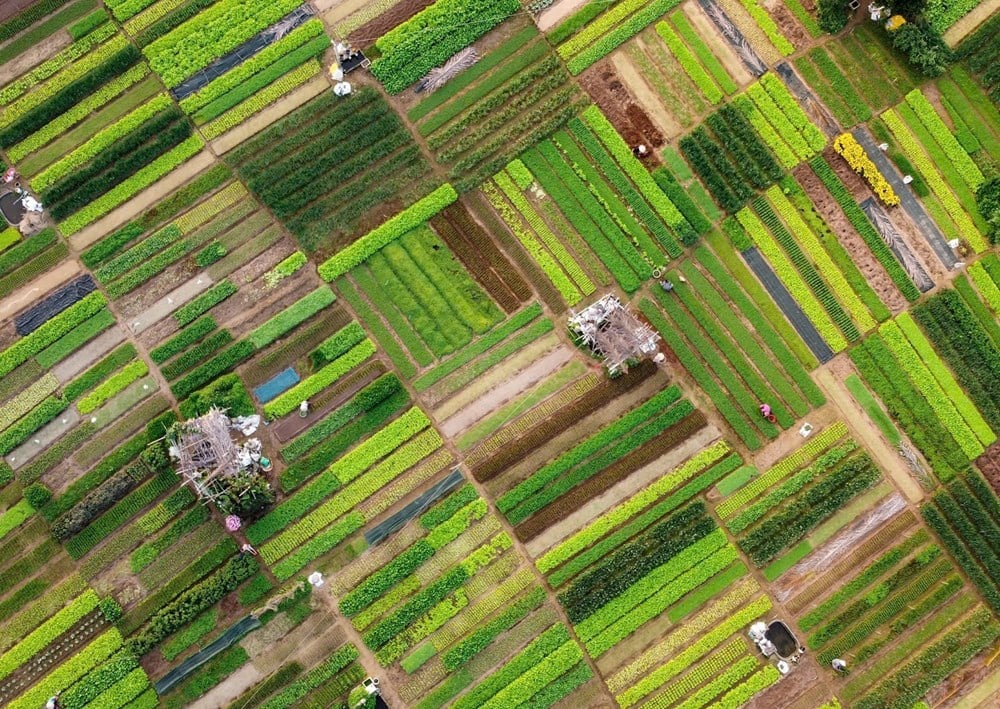 Hoi An mirası, yeni bağlamda koruma ve sürdürülebilir kalkınma için yön arıyor - fotoğraf 3