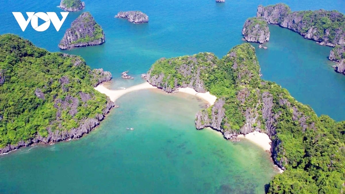 World Travel Awards lần thứ 6 tôn vinh Việt Nam là Điểm đến di sản hàng đầu - Ảnh 1.