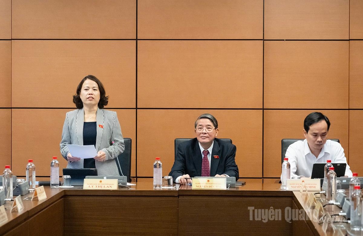 同省国会議員代表団長のリー・ティ・ラン氏が議論の共同議長を務めた。