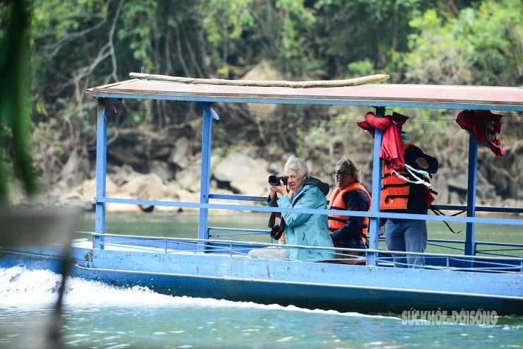 Die Bäume des Waldes wechseln ihre Farbe und präsentieren ihre orange-gelben Blätter vor den Kalksteinfelsen.