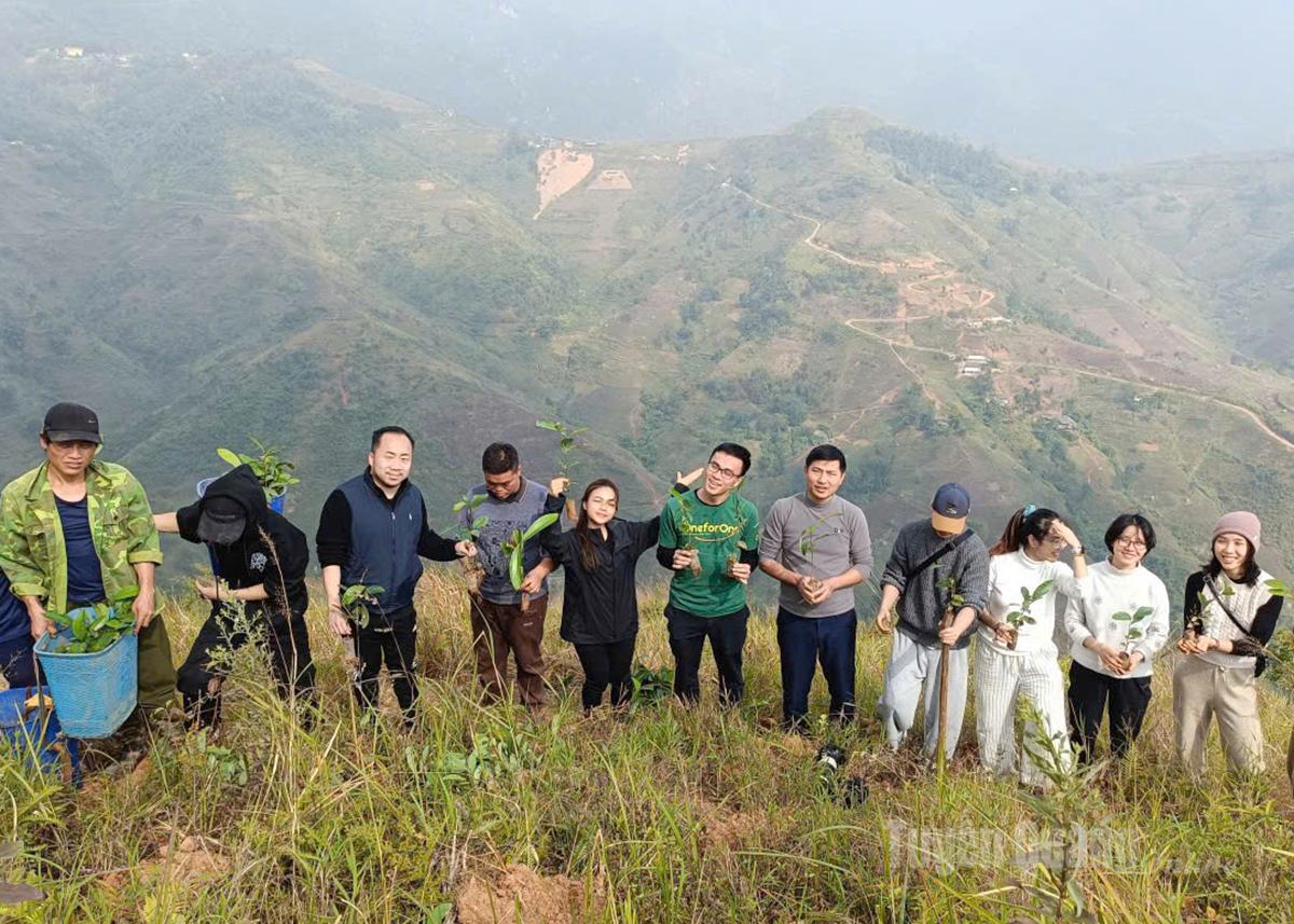 Dobrovolnická skupina „Zelené kroky“ a obyvatelé vesnice Po Ngan sázejí skořicovníky.