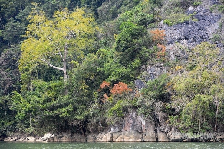Para wisatawan internasional bertamasya dan mengambil foto saat perahu perlahan melayang di tengah Danau Ba Be.