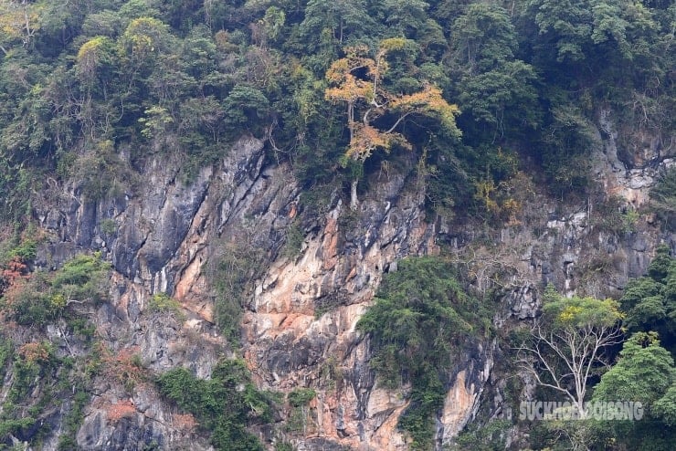 Uralter Wald, 9 neue Mäntel, 9 neben dem schönsten Süßwassersee der Welt - 6
