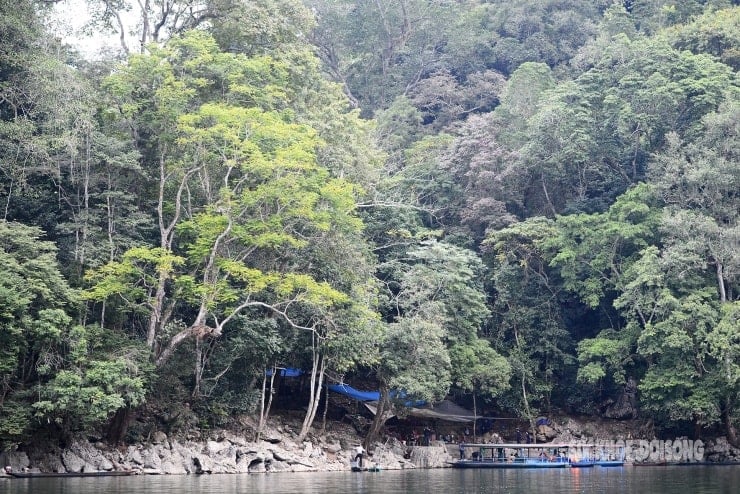 Uralter Wald, 9 neue Mäntel, 9 neben dem schönsten Süßwassersee der Welt - 13