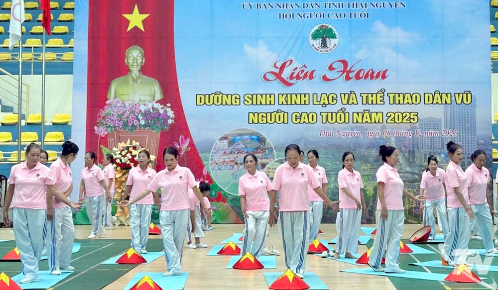 A performance at the 2025 Thai Nguyen Province Meridian Health and Folk Dance Sports Festival for the Elderly