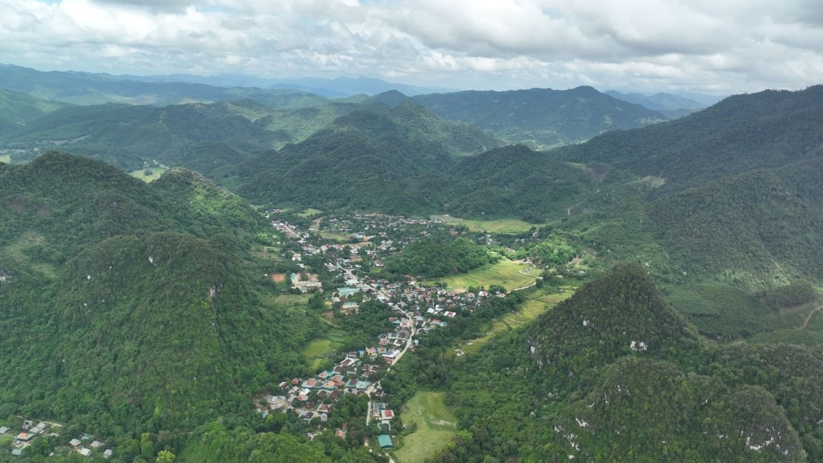 Phát triển lâm nghiệp bền vững được Ban quản lý Khu bảo tồn thiên hiên Pù Hoạt rất chú trọng. Ảnh: Đình Tiệp.
