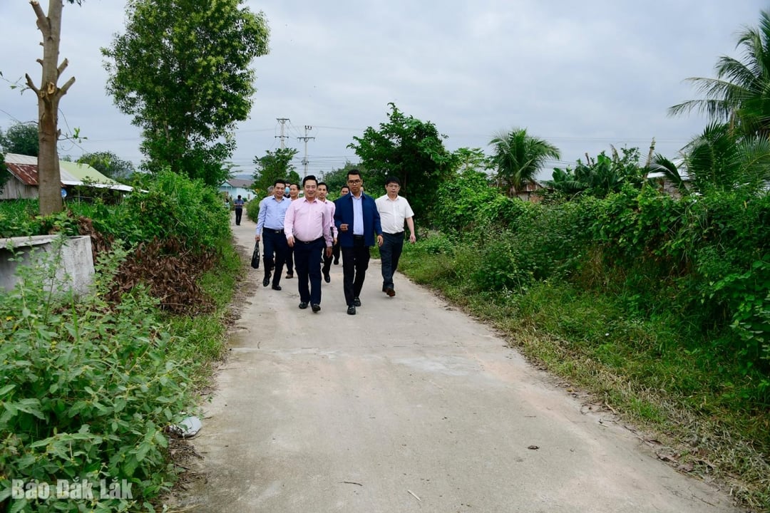 Группа надзора провела осмотр фактического хода строительства проекта по модернизации цементобетонного дорожного покрытия в Ле-Б, финансируемого из средств национальной целевой программы.