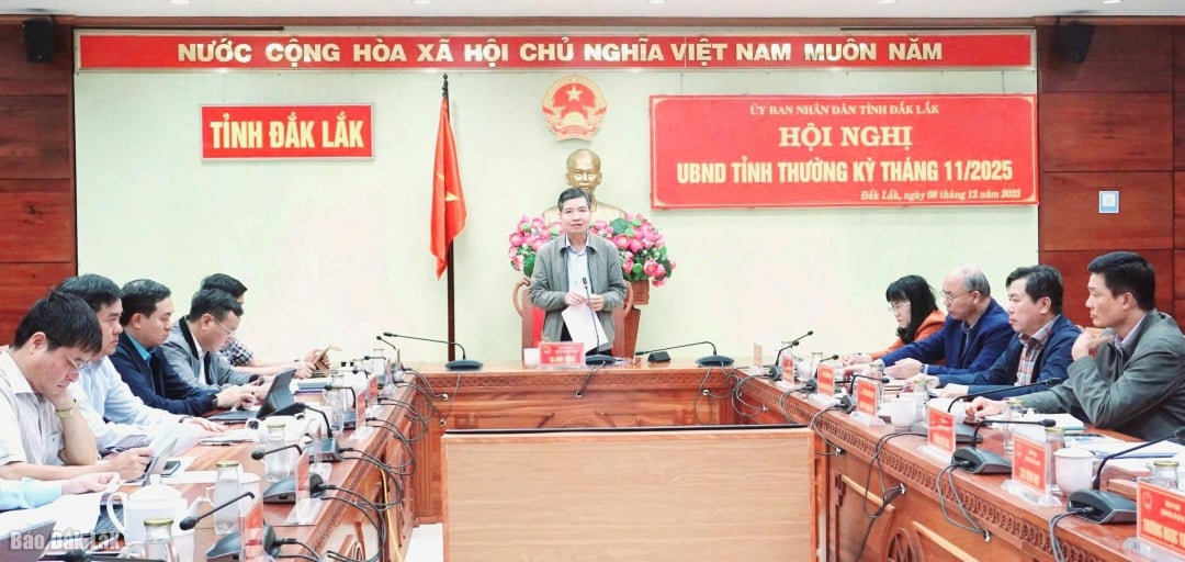 O vice-secretário do Comitê Provincial do Partido e presidente do Comitê Popular Provincial, Ta Anh Tuan, presidiu a conferência.