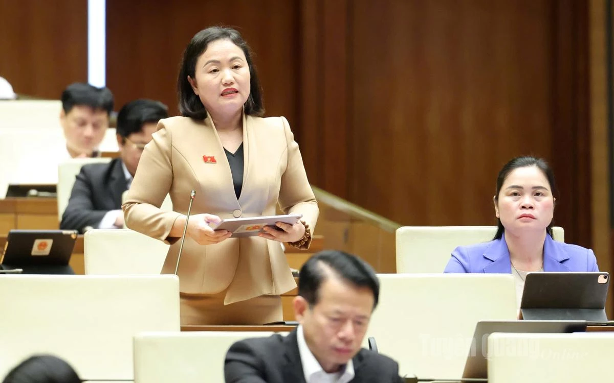 Đại biểu Phạm Thúy Chinh phát biểu thảo luận.