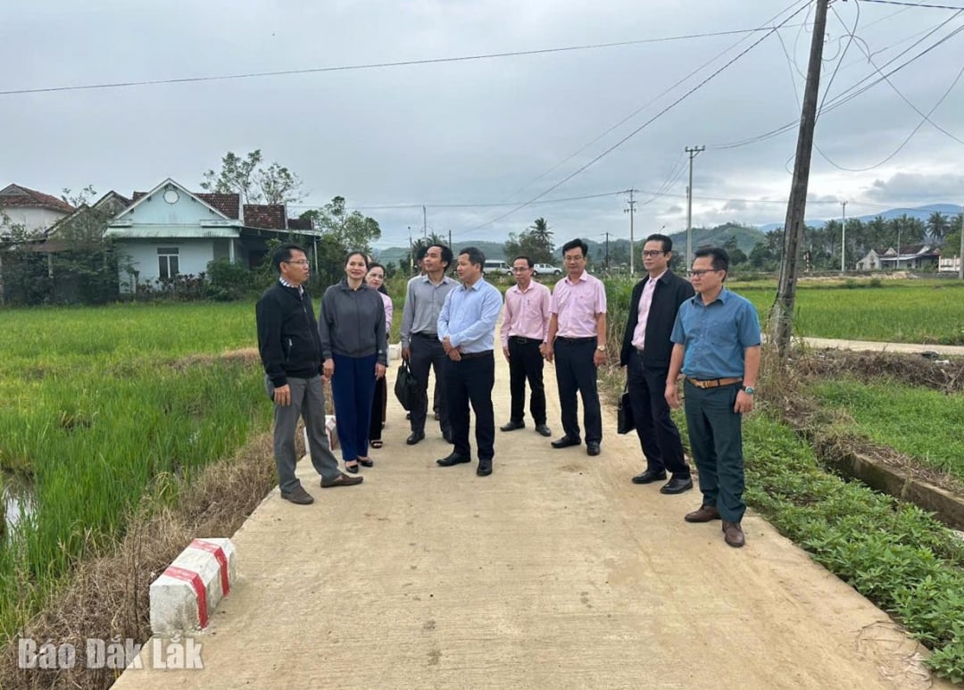 ทีมติดตามได้สำรวจถนนคอนกรีตจากบ้านของนายเหงียนไทบิ่ญไปยังด่งเบในตำบลซวนเฟือก ซึ่งเป็นโครงการที่ได้รับการลงทุนจากเมืองหลวงของโครงการเป้าหมายระดับชาติ