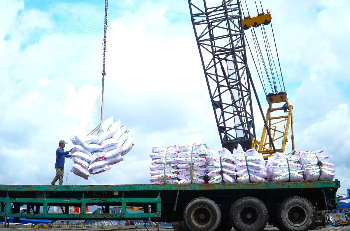 Khu kinh tế ven biển Trần Đề (TP. Cần Thơ) được xem là giải pháp giải quyết bài toàn logistics cho vùng ĐBSCL. Ảnh: Kim Anh.