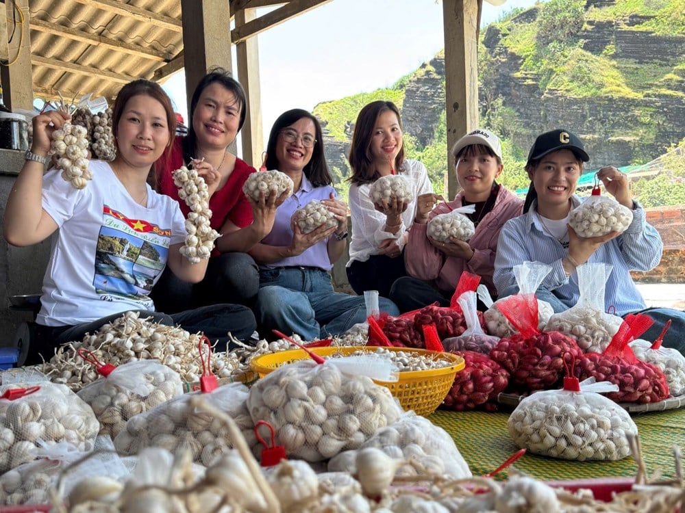 ニンニクの物語を通してリーソン島の文化と観光を宣伝する - 写真5