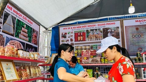 クアンガイはOCOP製品と農村観光サービスを結びつける