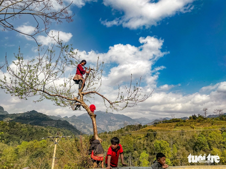 Dong Van steinplatået: en pris er ikke bare en tittel – Bilde 1. cao nguyên đá Đồng văn - Ảnh 1.