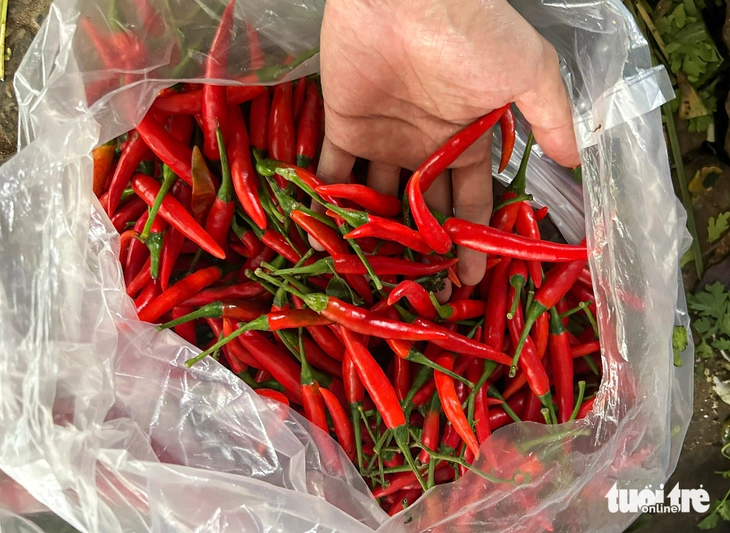 Đà Nẵng - Ảnh 2.