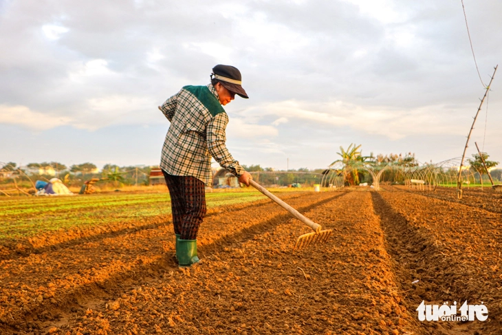 Giá rau xanh chợ Đà Nẵng tăng cao, giá ớt trên trời 150.000 đồng/kg - Ảnh 3.
