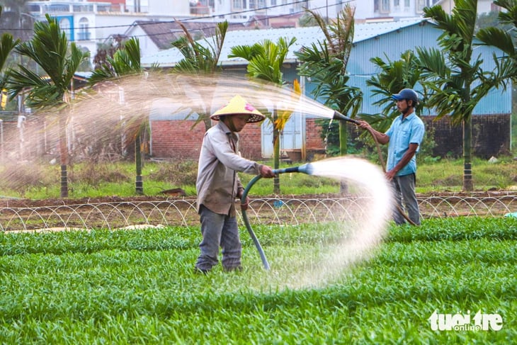 Đà Nẵng - Ảnh 5.