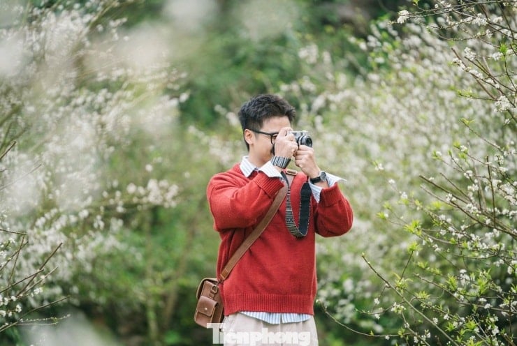 Plum blossoms bloom ដើមរដូវ, អាកាសធាតុដើមរដូវរងានៅ Moc Chau - ៥