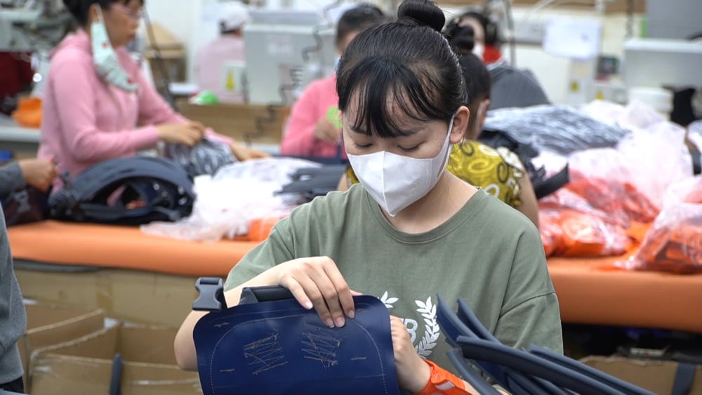 Luật Việc làm năm 2025: Tăng hỗ trợ, mở rộng quyền lợi bảo hiểm thất nghiệp