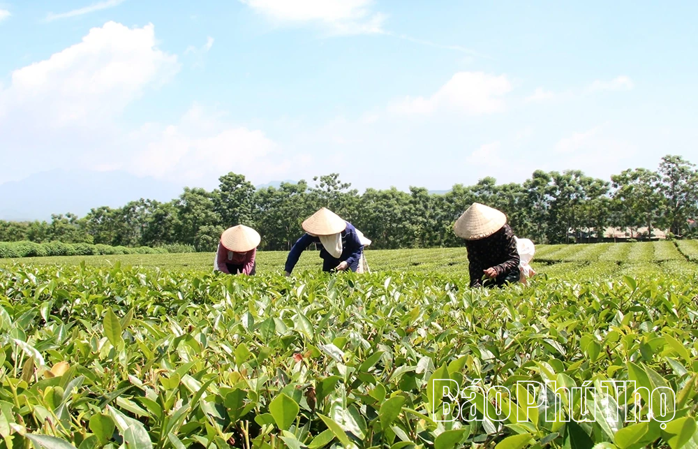 Đẩy mạnh xúc tiến thương mại, tạo động lực mới trong không gian kinh tế mở rộng