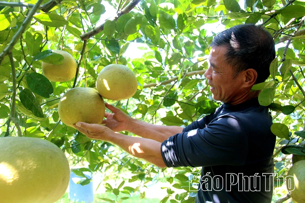 Đẩy mạnh xúc tiến thương mại, tạo động lực mới trong không gian kinh tế mở rộng
