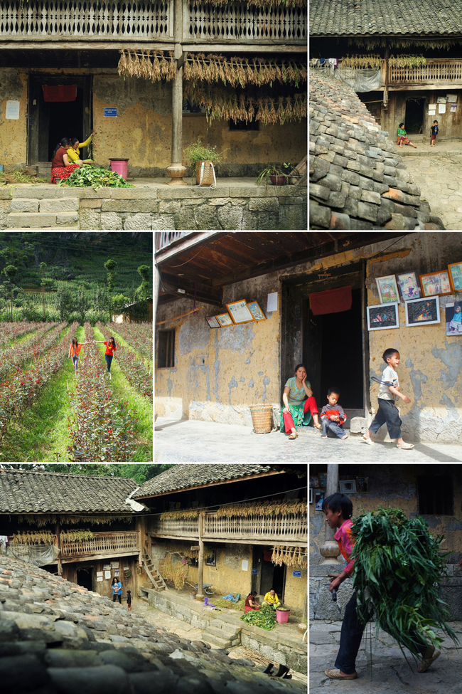 Tuyen Quang: Landsbyen Lung Cam Tren eliminerer sult og reduserer fattigdom gjennom turisme - Bilde 3.