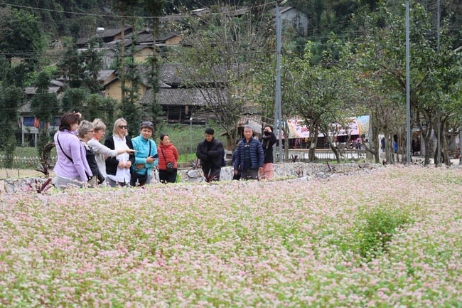 Tuyen Quang: Landsbyen Lung Cam Tren eliminerer sult og reduserer fattigdom gjennom turisme - Bilde 4.