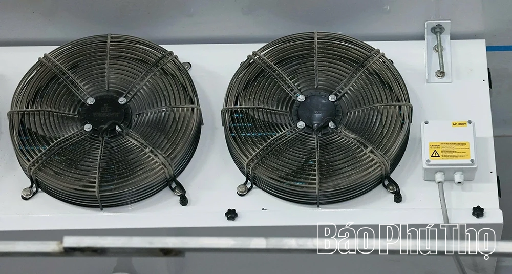 Explore organic mushroom growing model