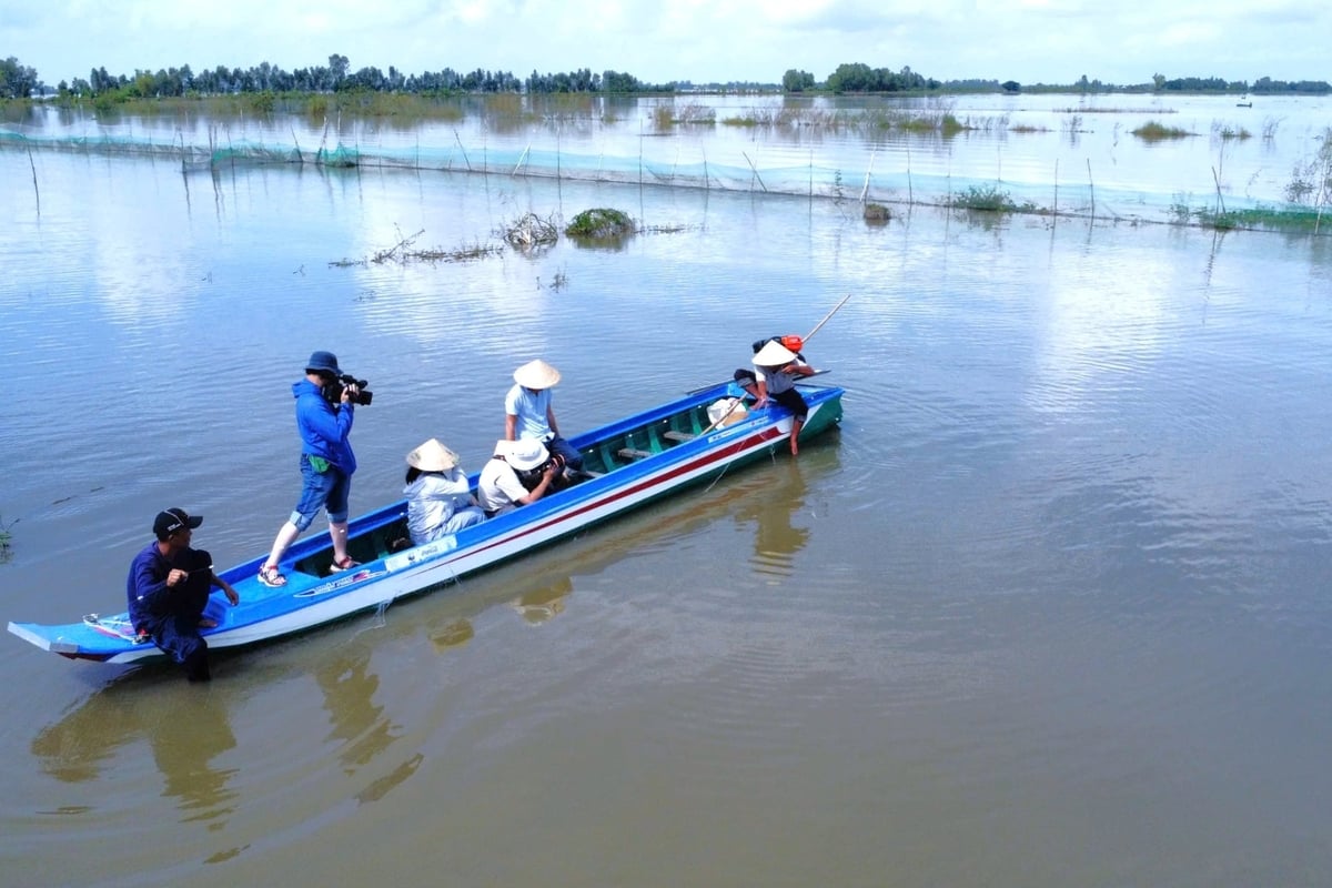 Выращивание риса в сухой сезон сокращает выбросы, а рыба хранится в период паводков. Так кооператив Quyet Tien защищает природную экосистему. Фото: Ким Ань. Mùa khô trồng lúa giảm phát thải, mùa nước nổi trữ cá đồng, đó là cách HTX Quyết Tiến bảo vệ hệ sinh thái tự nhiên. Ảnh: Kim Anh.