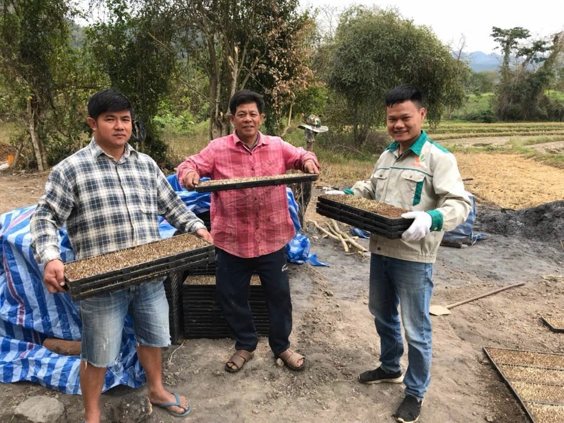 Anh Quản Bá Tới (người đứng bên tay phải), Giám đốc HTX Dịch vụ Nông nghiệp tổng hợp Thanh Yên. Ảnh: Trần Hương. 