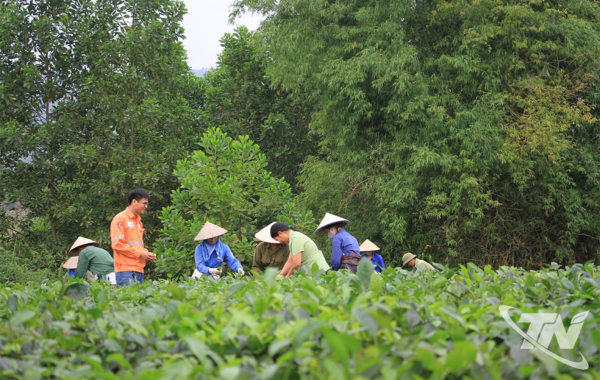 MHT פועלת לפי מודל של _ליווי - שיתוף - פיתוח יחד_ עבור הקהילה המקומית.