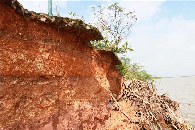 ছবির ক্যাপশন