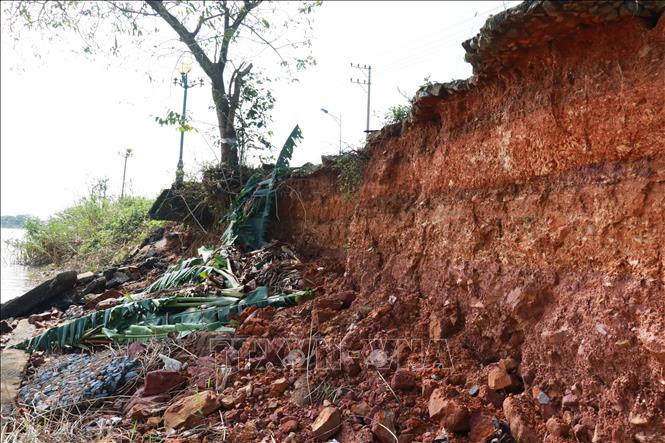 ছবির ক্যাপশন