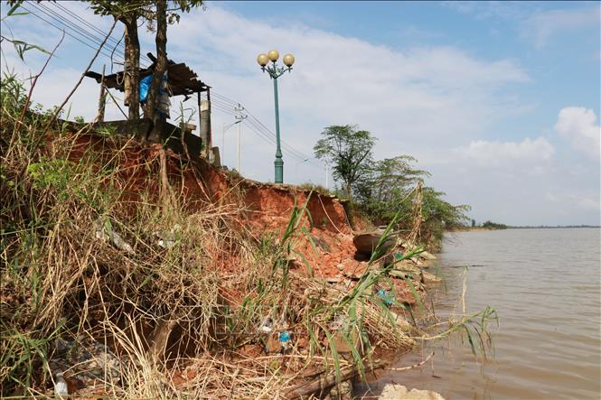 ছবির ক্যাপশন