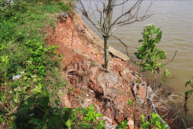 ছবির ক্যাপশন