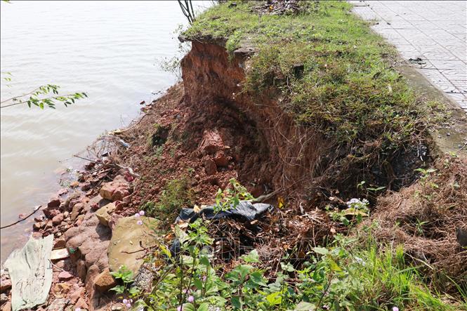 ছবির ক্যাপশন