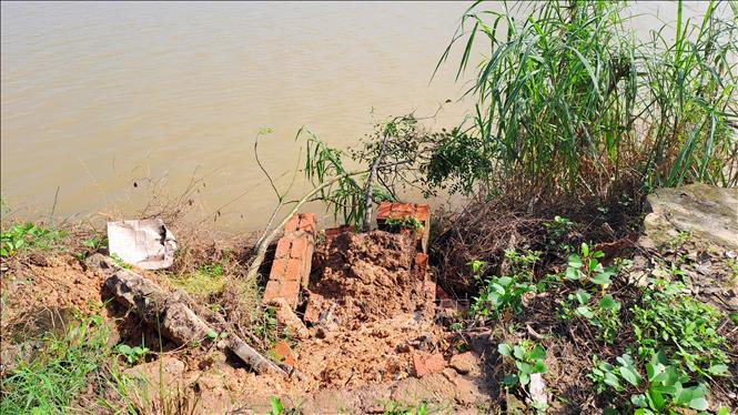 ছবির ক্যাপশন