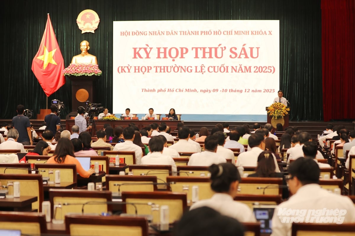 La sexta sesión del décimo periodo del Consejo Popular de Ciudad Ho Chi Minh se desarrolló durante dos días. Foto: Nguyen Thuy. Kỳ họp thứ sáu HĐND TP.HCM khóa X diễn ra trong hai ngày. Ảnh: Nguyễn Thủy.