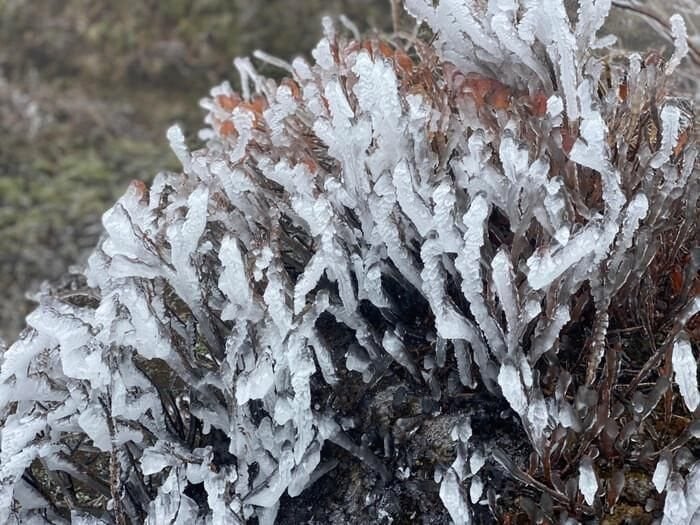 Nhiệt độ tại các vùng núi cao có thể xuống dưới 5 độ C. Rét đậm, rét hại nhiều khả năng gây thiệt hại cho sản xuất, chăn nuôi. Ảnh: Trung Nguyên. 