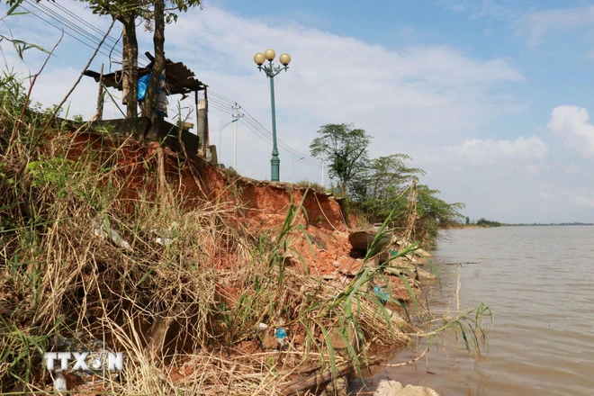 Το σύστημα δέντρων και στύλων φωτισμού κατά μήκος της οδού Tran Thanh Tong κινδυνεύει να καταρρεύσει ανά πάσα στιγμή. (Φωτογραφία: Tuong Vi/VNA)