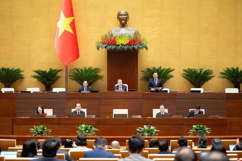 Đại biểu Quốc hội đề nghị tấn công mạnh tội phạm công nghệ cao, hàng giả, thực phẩm bẩn- Ảnh 1.