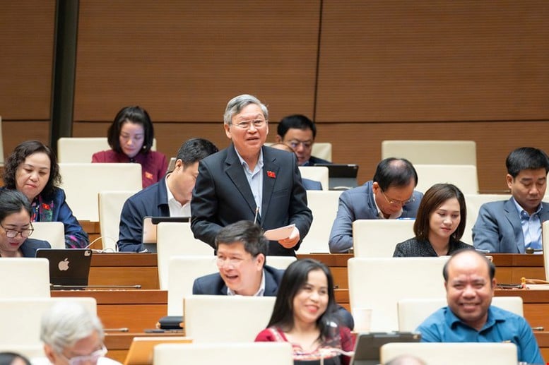 Đại biểu Quốc hội đề nghị tấn công mạnh tội phạm công nghệ cao, hàng giả, thực phẩm bẩn- Ảnh 3.