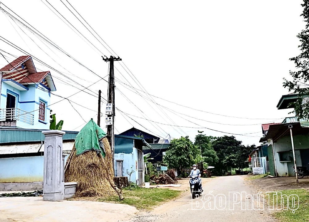 Modal kebijakan mendorong lapangan kerja domestik dan asing