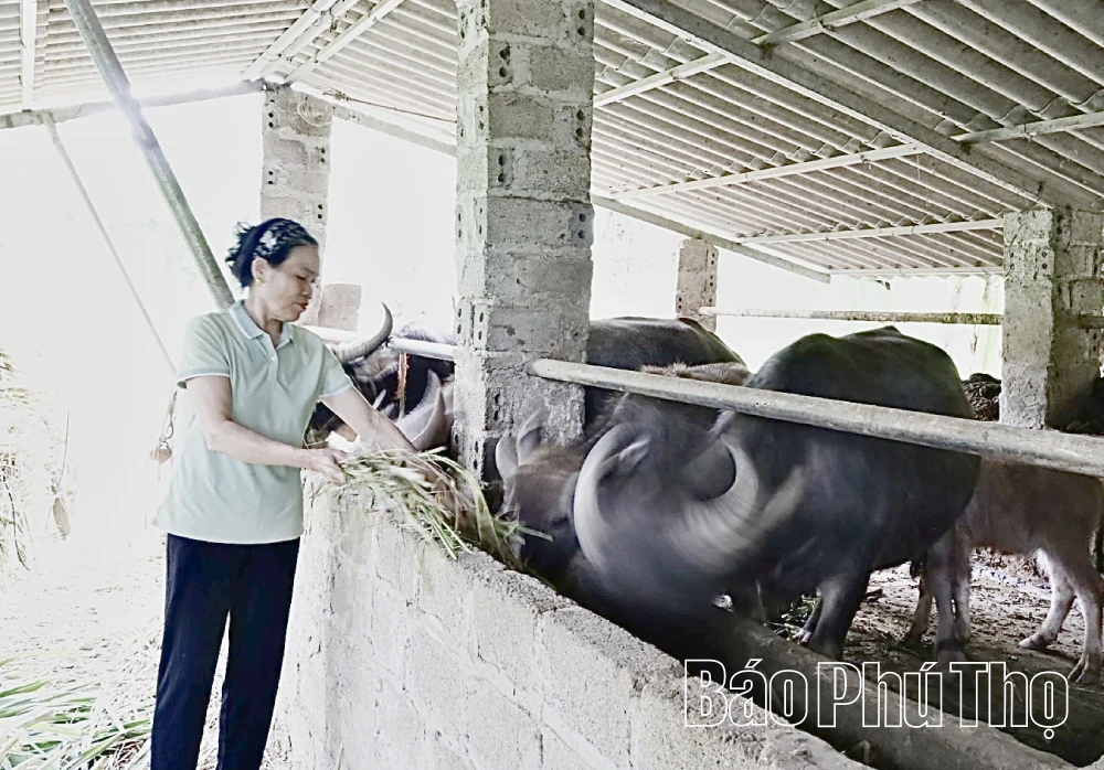 Modal kebijakan mendorong lapangan kerja domestik dan asing