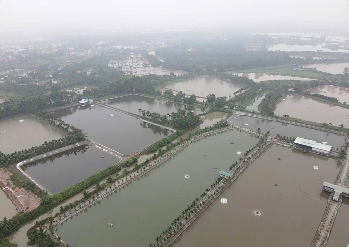 پرانے لیپ لی کا آبی زراعت کا دارالحکومت، اب نام ٹریو وارڈ، ہائی فونگ شہر۔ تصویر: Dinh Muoi. Thủ phủ nuôi trồng thủy sản ở Lập Lễ cũ, nay là phường Nam Triệu, TP Hải Phòng. Ảnh: Đinh Mười.