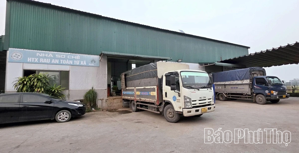 Livligt på Tu Xa-fältet