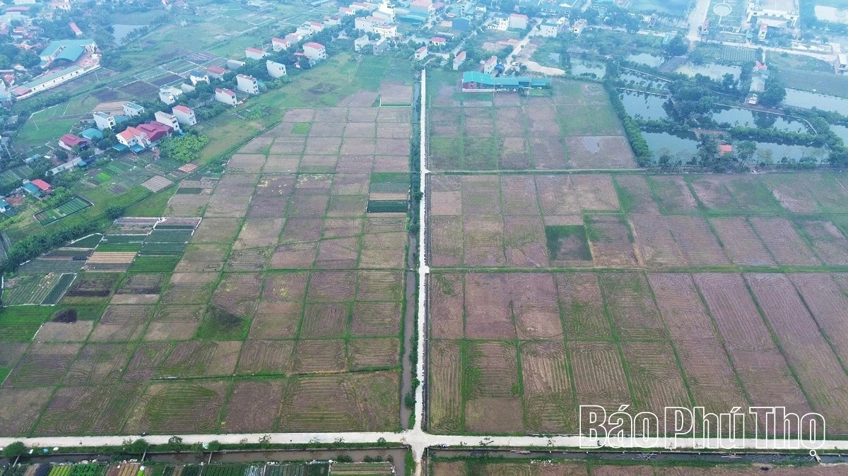 Livligt på Tu Xa-fältet